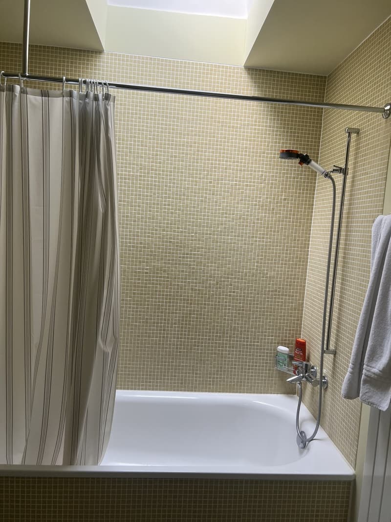 Beloved temporary summer sublease 1. month only (8)