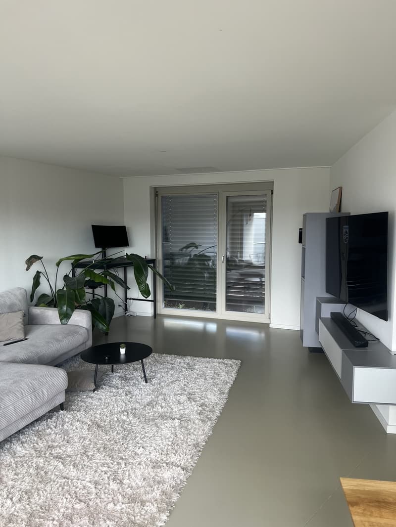 Beloved temporary summer sublease 1. month only (6)