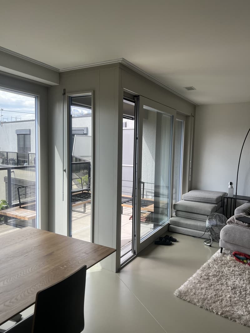 Beloved temporary summer sublease 1. month only (7)