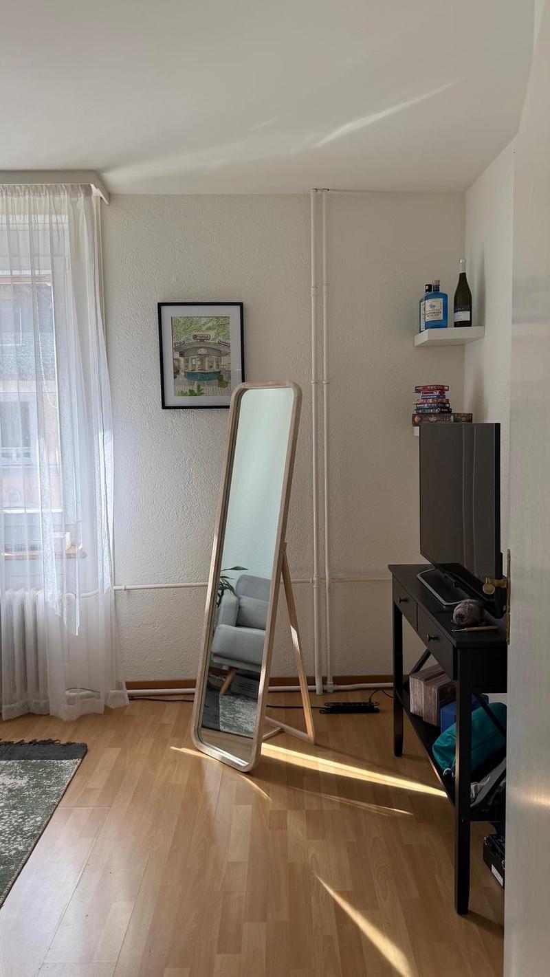 Möblierte 2.5-Zimmer-Wohnung im grünen und zentralen Wiedikon ab Mitte Juli (5)