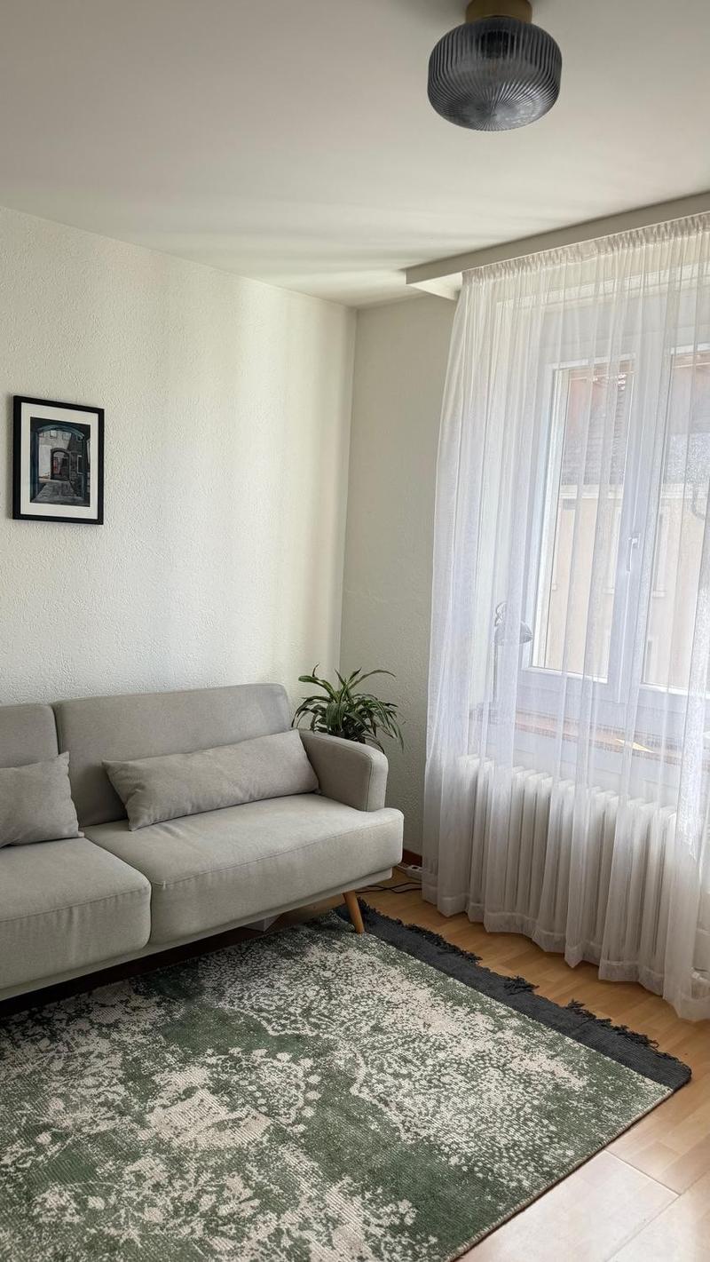 Möblierte 2.5-Zimmer-Wohnung im grünen und zentralen Wiedikon ab Mitte Juli (6)