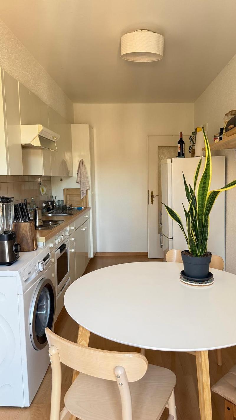 Möblierte 2.5-Zimmer-Wohnung im grünen und zentralen Wiedikon ab Mitte Juli (3)