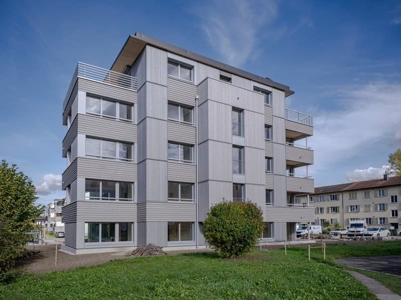 Appartamento dei sogni per single o coppie - con terrazza enorme (2)