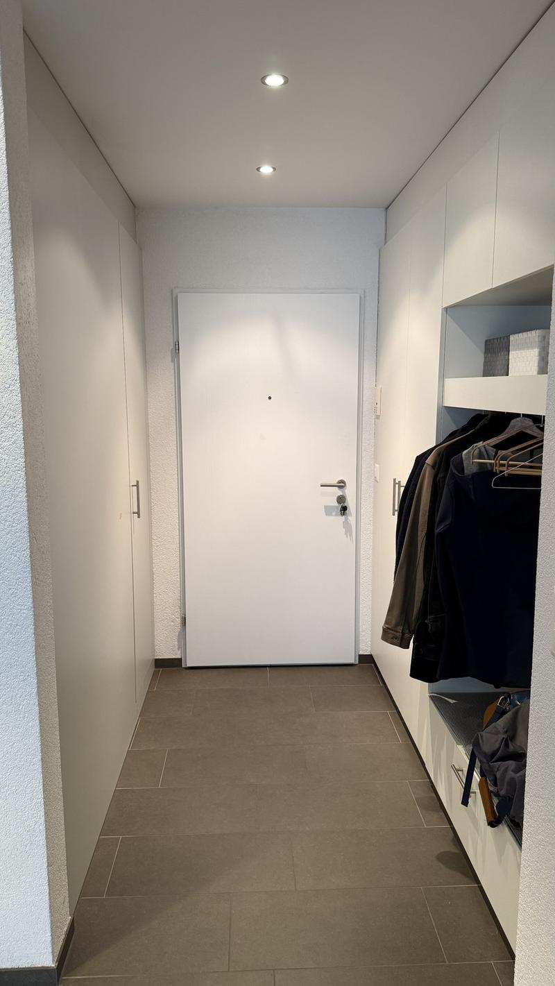 2.5 room apartment with large balcony and great view (10)
