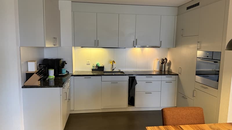 2.5 room apartment with large balcony and great view (4)