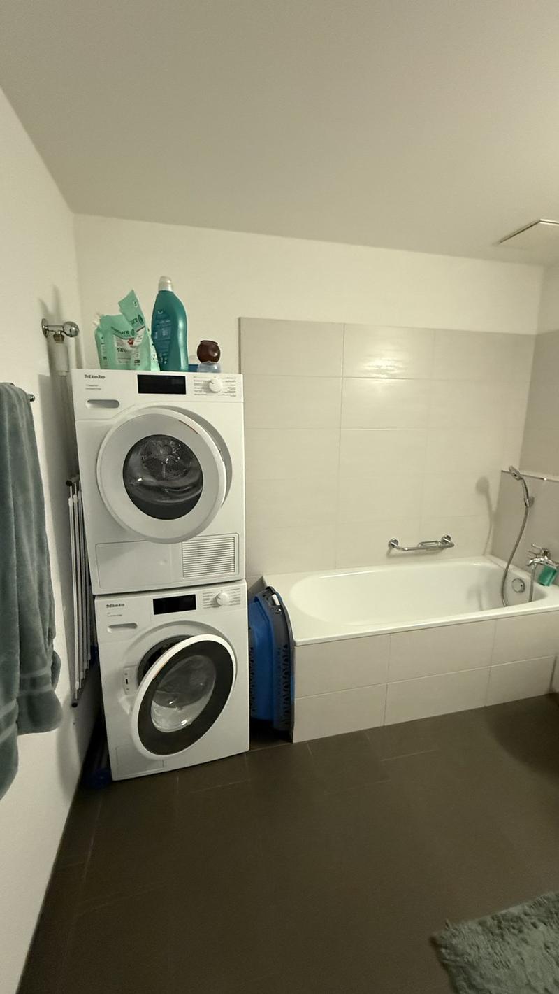 2.5 room apartment with large balcony and great view (8)