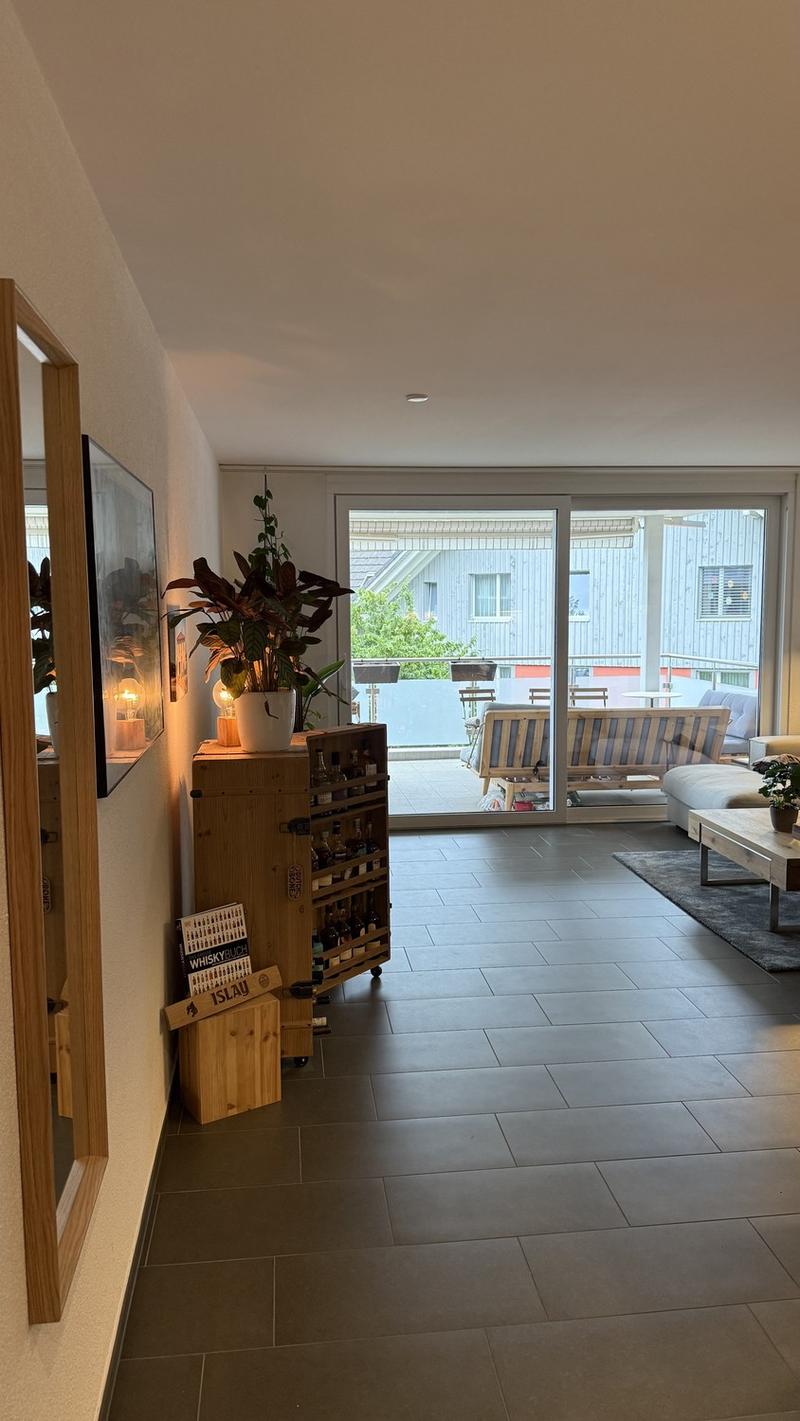 2.5 room apartment with large balcony and great view (9)