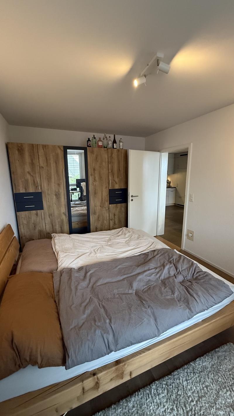 2.5 room apartment with large balcony and great view (5)