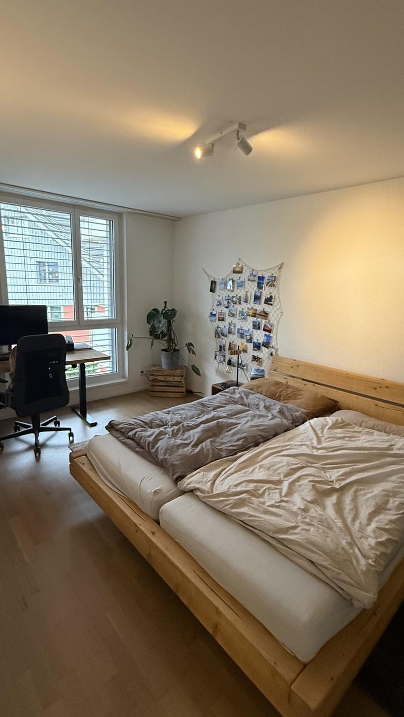 2.5 room apartment with large balcony and great view (6)