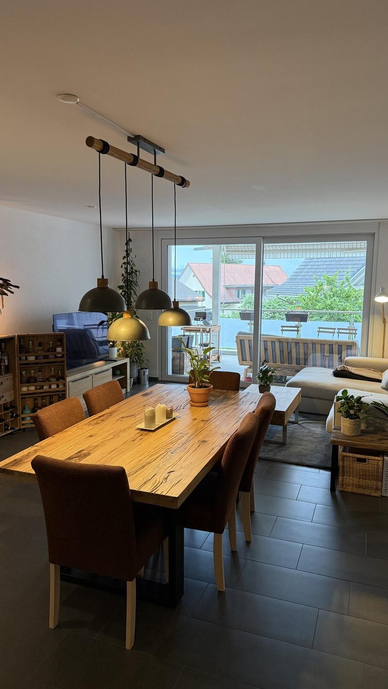 2.5 room apartment with large balcony and great view (3)