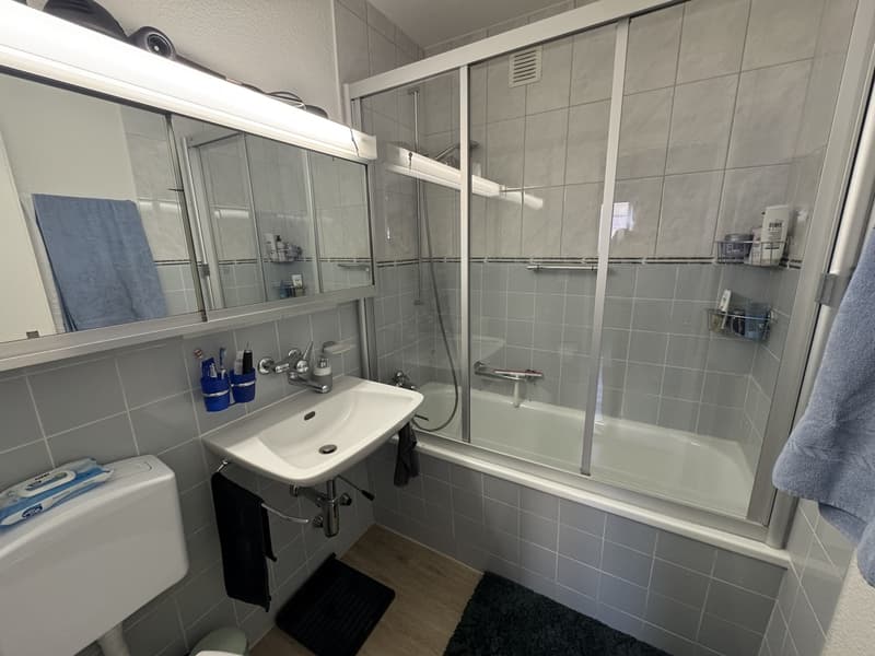 Appartamento monostanza a Oerlikon con posto auto (4)