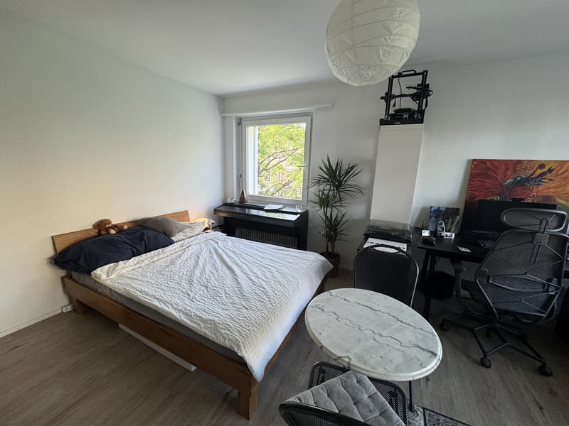 Appartamento monostanza a Oerlikon con posto auto (1)