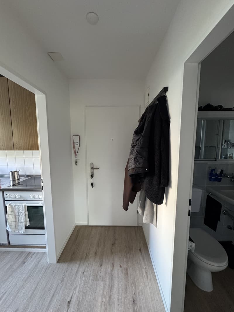 Appartamento monostanza a Oerlikon con posto auto (5)