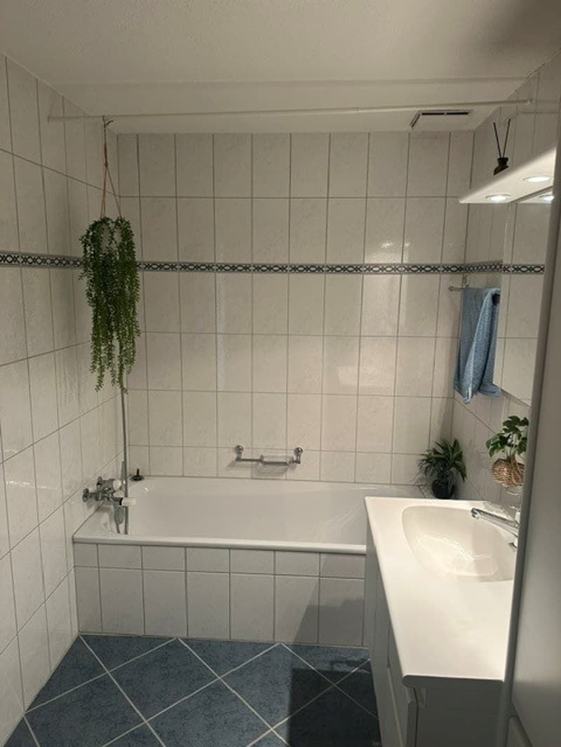 Zwischenmiete: Möblierte 4.5-Zi.-Wohnung mit Balkon & Homeoffice nahe Zürich (7)
