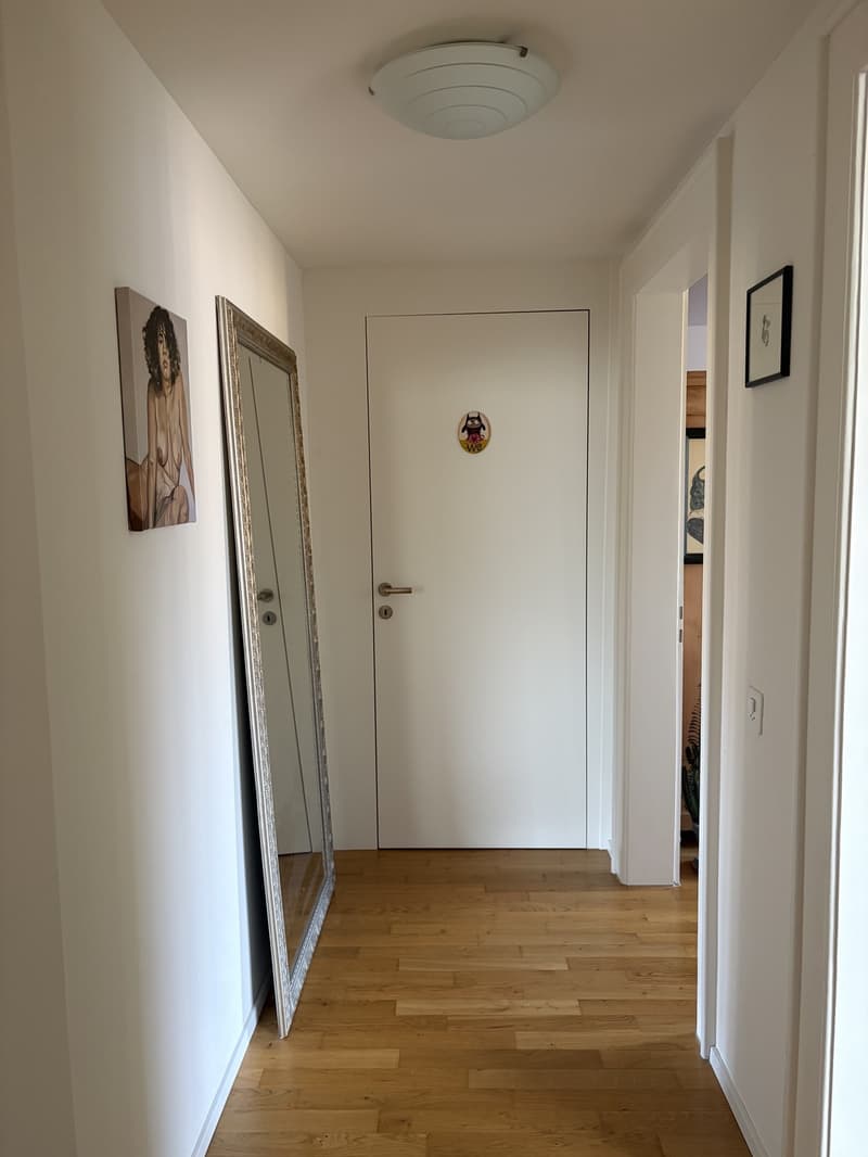Charming furnished apartment with Pilatus view and parking space for subletting (15.10.2026 - 31.12.2026) (10)