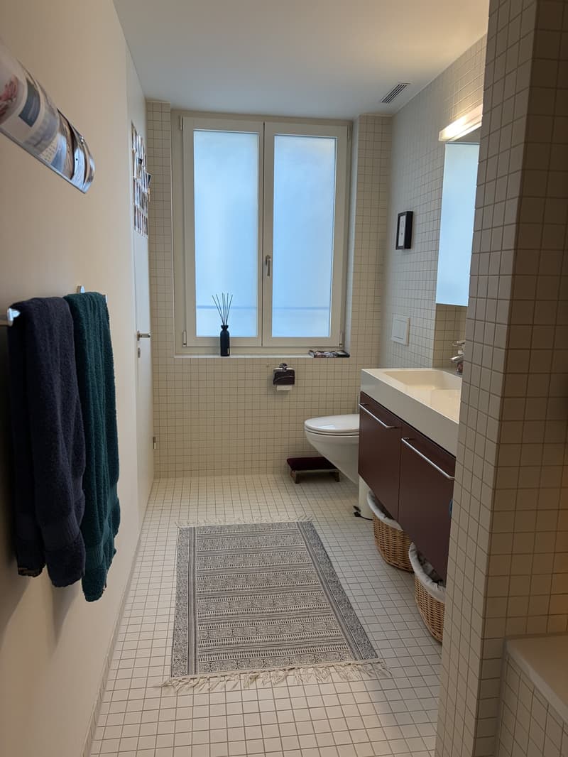 Charming furnished apartment with Pilatus view and parking space for subletting (15.10.2026 - 31.12.2026) (12)