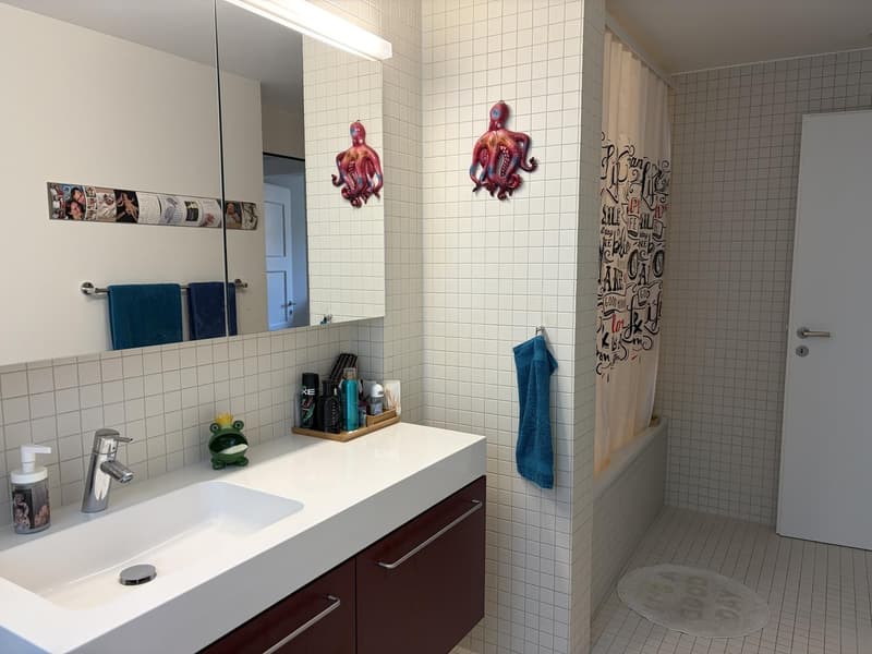 Charming furnished apartment with Pilatus view and parking space for subletting (15.10.2026 - 31.12.2026) (11)