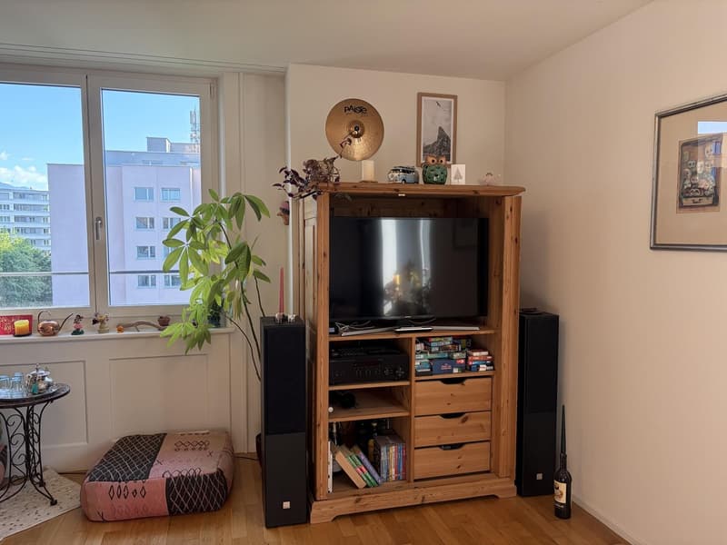 Charming furnished apartment with Pilatus view and parking space for subletting (15.10.2026 - 31.12.2026) (3)