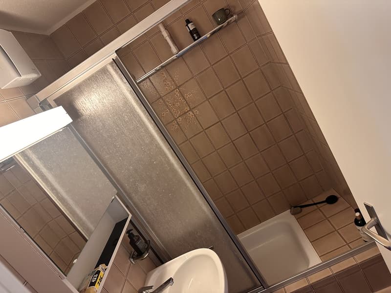 Appartement 2.5 pièces lumineux en sous-location (1er juillet - 1er août) (6)