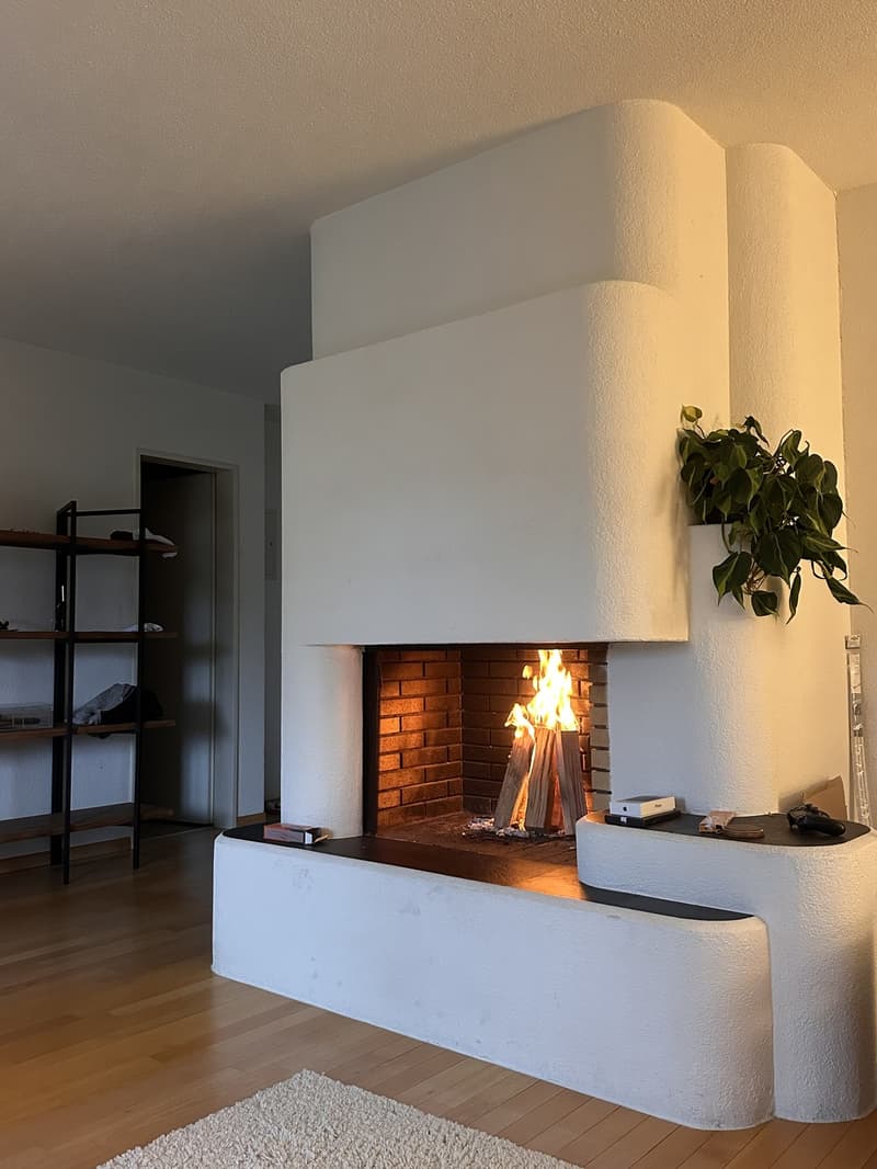 Appartement 2.5 pièces lumineux en sous-location (1er juillet - 1er août) (1)