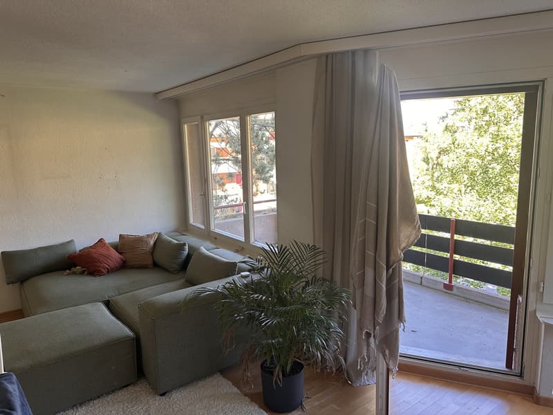 Appartement 2.5 pièces lumineux en sous-location (1er juillet - 1er août) (3)