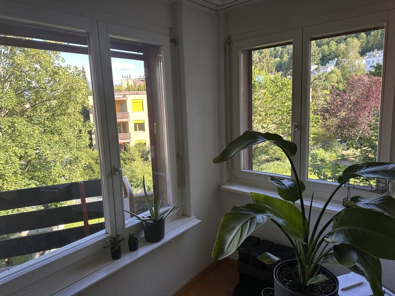 Appartement 2.5 pièces lumineux en sous-location (1er juillet - 1er août) (2)