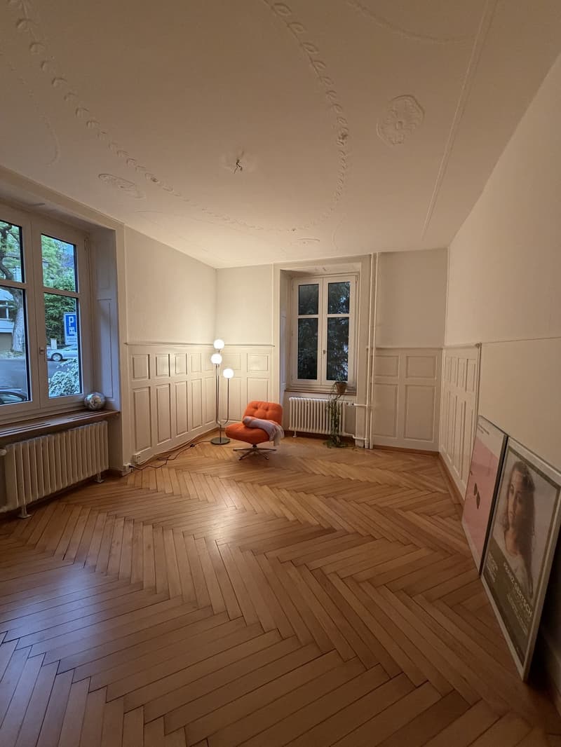 Bel appartement en vieil immeuble 2 pièces cherche colocataire (1)