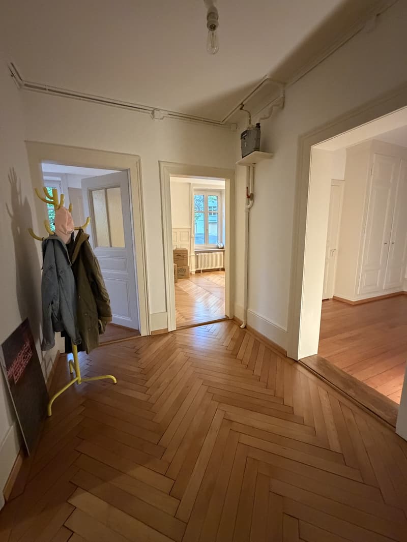 Bel appartement en vieil immeuble 2 pièces cherche colocataire (2)
