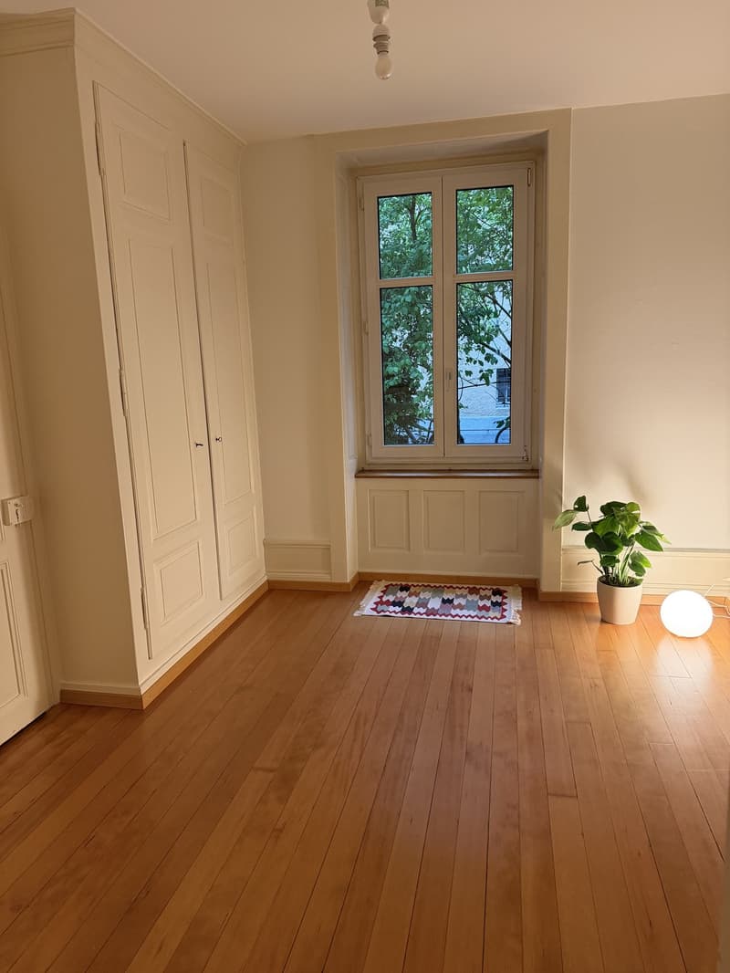 Bel appartement en vieil immeuble 2 pièces cherche colocataire (4)