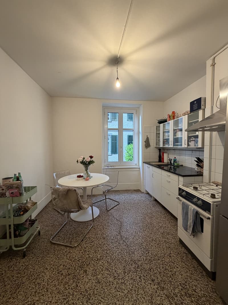 Bel appartement en vieil immeuble 2 pièces cherche colocataire (5)