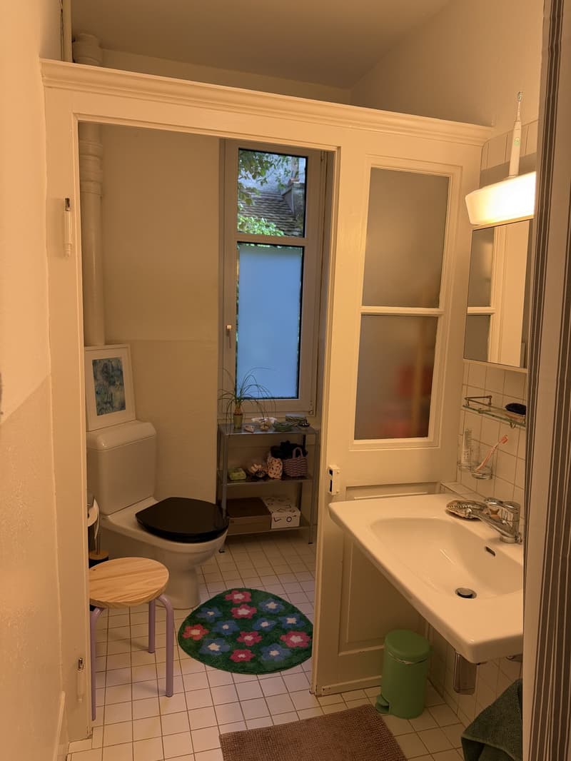 Bel appartement en vieil immeuble 2 pièces cherche colocataire (3)