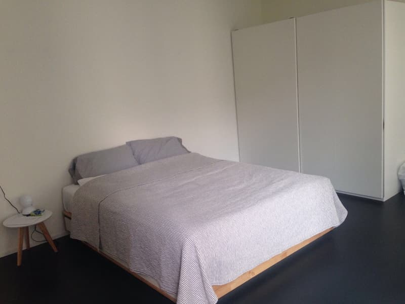 November 1 to January 31 / Room for rent in 3.5 rooms in business apartment (90 m2) in Altstetten (7)