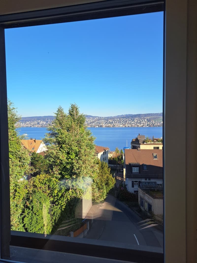 Furnished Room with Lake View / Möbliertes Zimmer mit Seeblick (6)