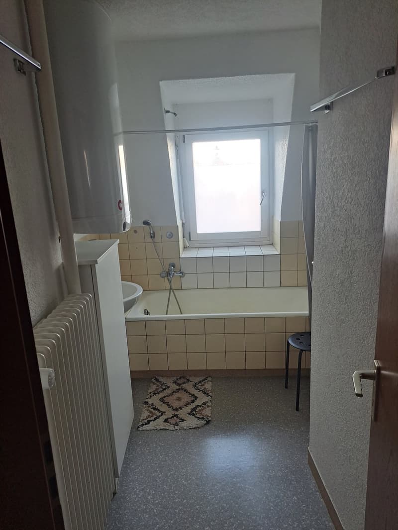 Furnished Room with Lake View / Möbliertes Zimmer mit Seeblick (10)
