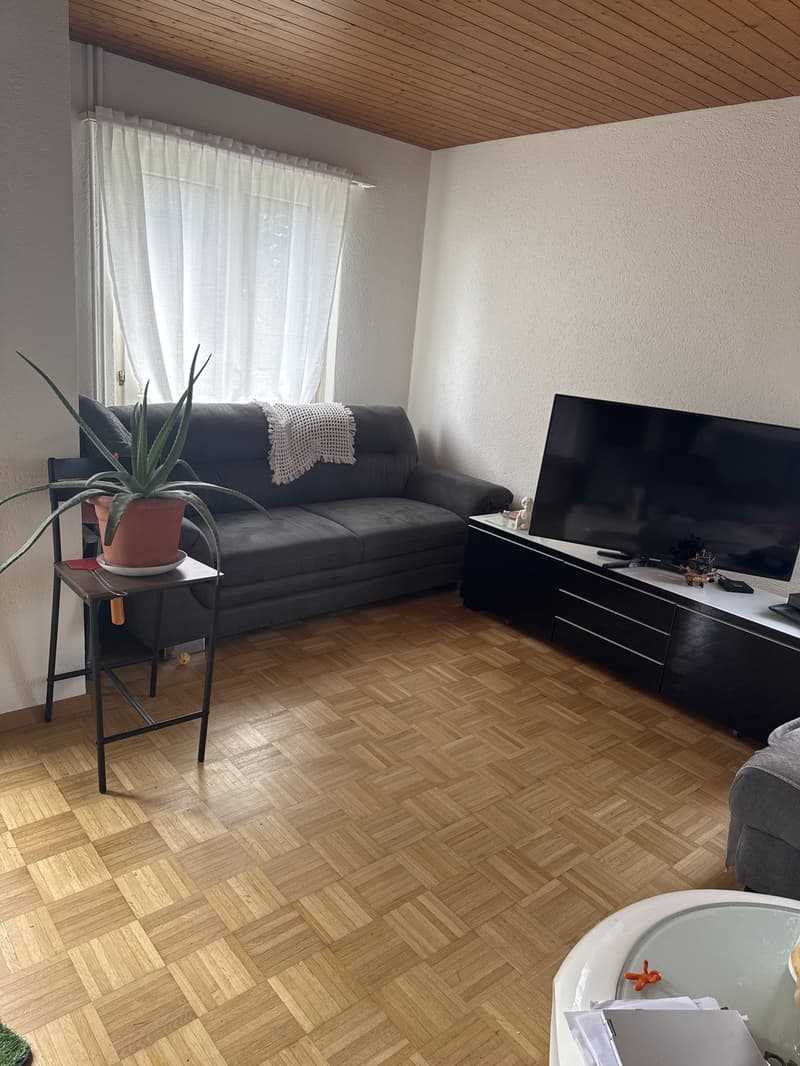 4 Chambres Appartement, 8942 Oberrieden (1)
