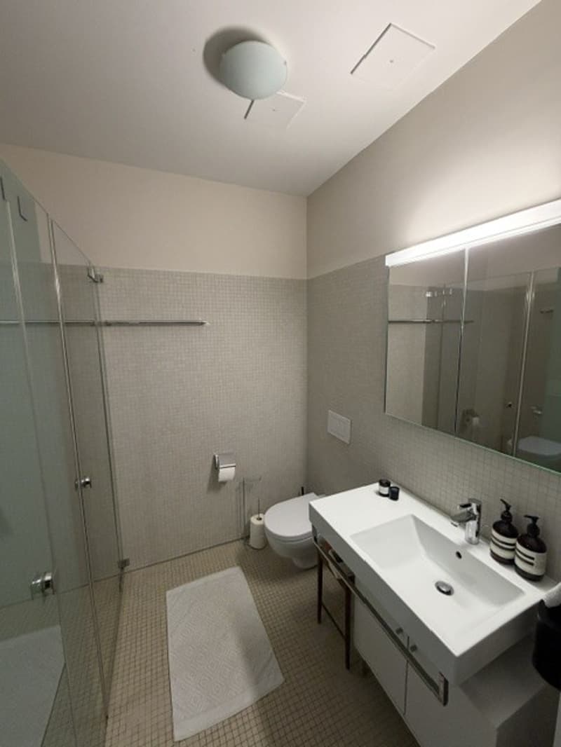 Modern 2-Room Apartment with Private Garden Near Lake Zurich - 5 Minutes from Bahnhof Enge (5)