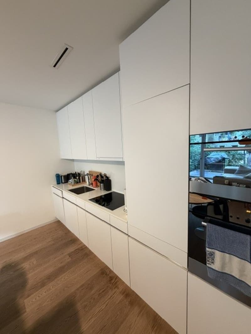 Modern 2-Room Apartment with Private Garden Near Lake Zurich - 5 Minutes from Bahnhof Enge (3)