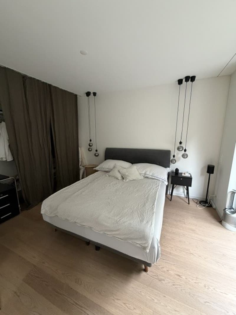 Modern 2-Room Apartment with Private Garden Near Lake Zurich - 5 Minutes from Bahnhof Enge (4)