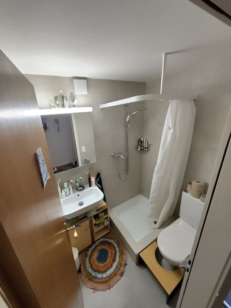 4 ½ room apartment, 2502 Biel/Bienne (8)