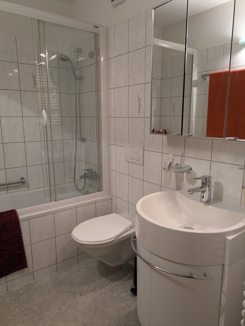 Helle 2.5-Zimmer-Wohnung zur Untermiete Zürich (12)