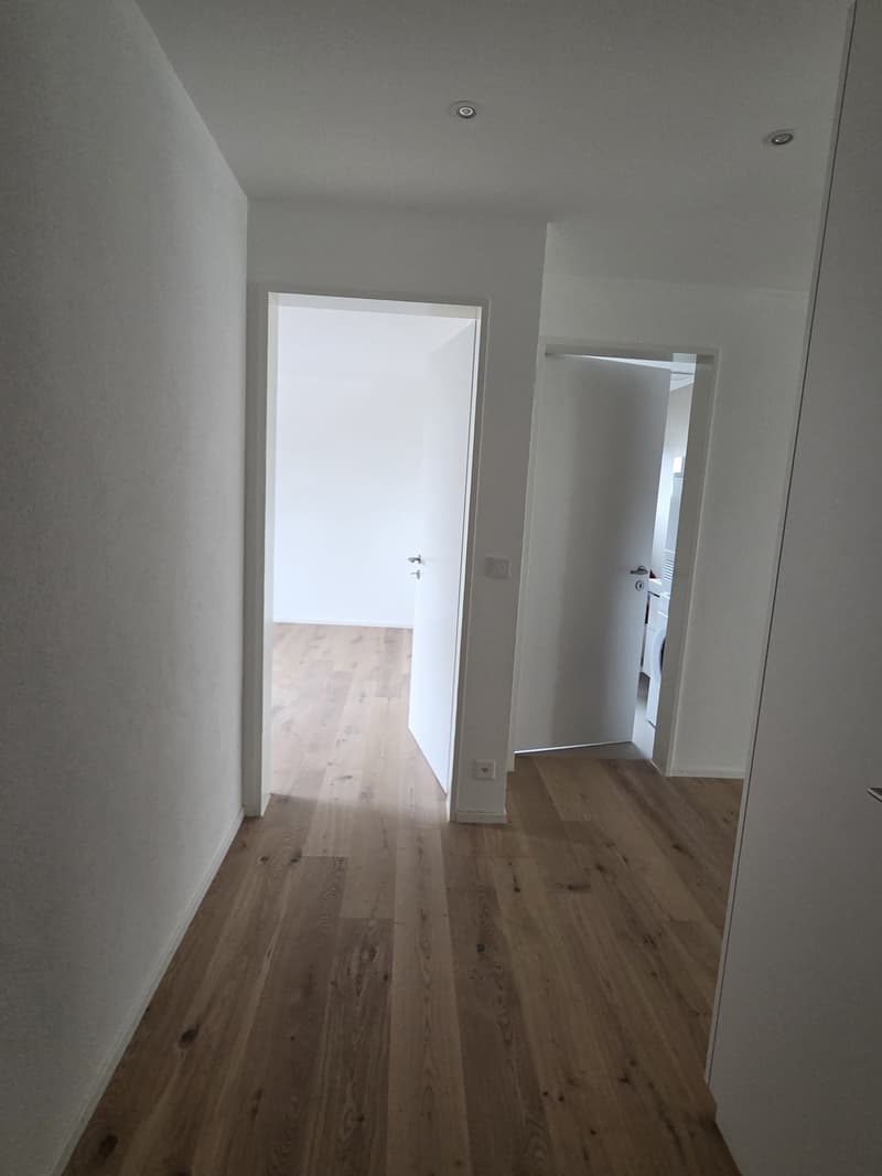 Modern 3.5 room new building apartment in a quiet location (7)