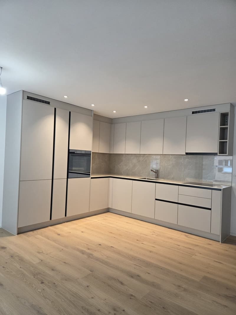 Modern 3.5 room new building apartment in a quiet location (3)