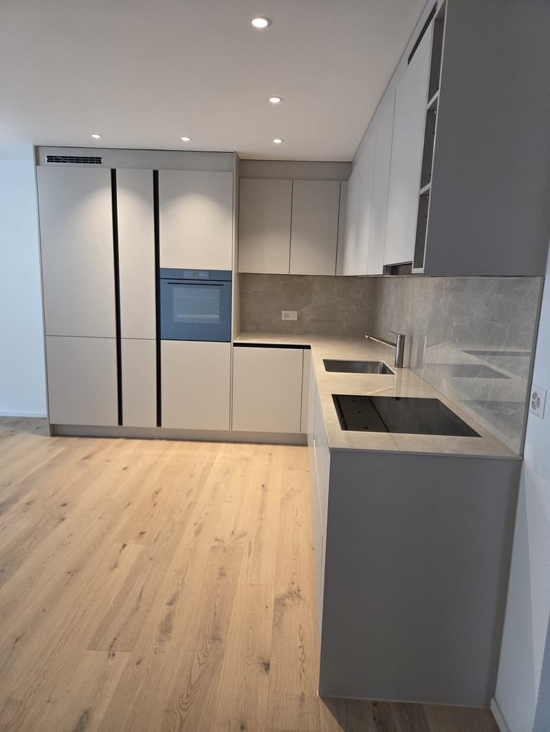 Modern 3.5 room new building apartment in a quiet location (4)