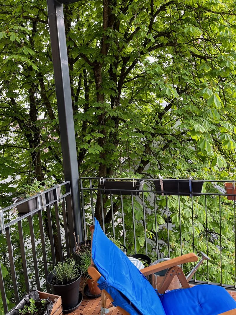 grosser Südbalkon