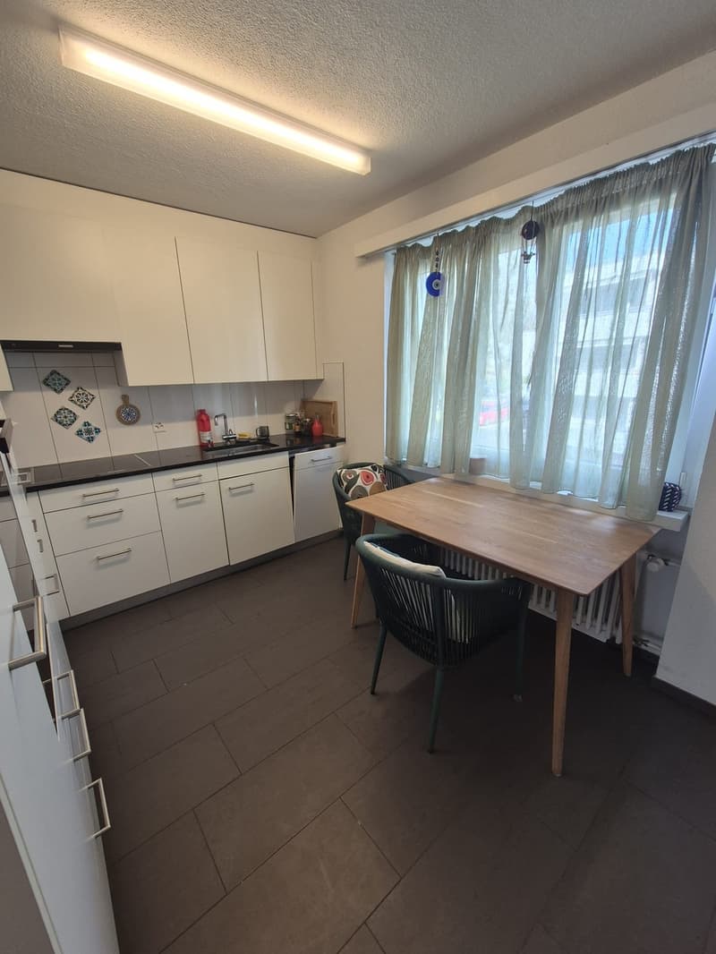 1,5 Room Appartament (1)