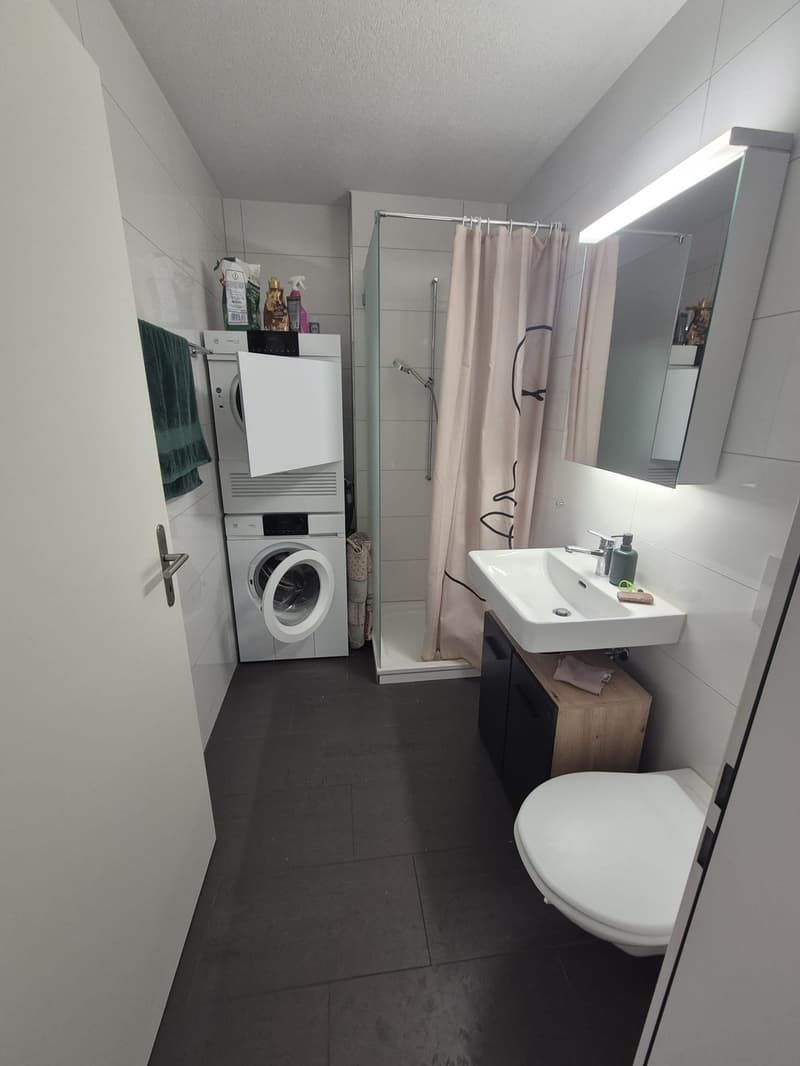 1,5 Room Appartament (6)