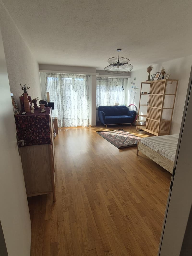 1,5 Room Appartament (13)