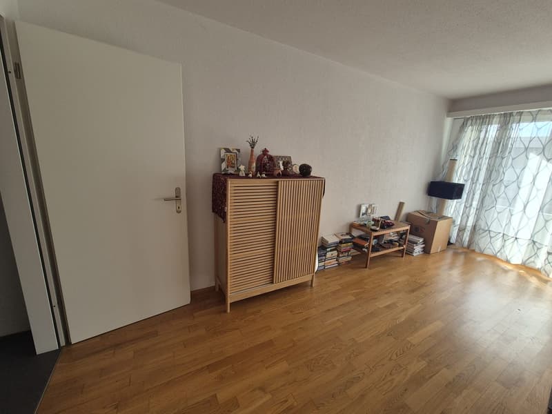 1,5 Room Appartament (5)