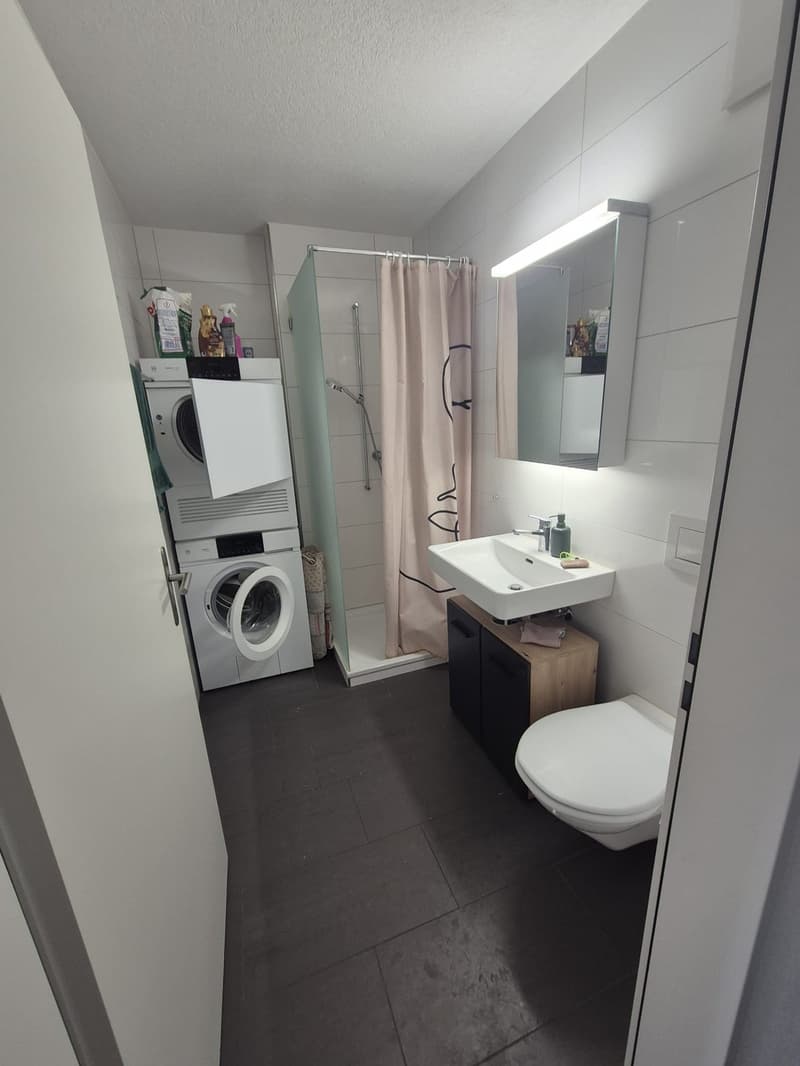 1,5 Room Appartament (9)