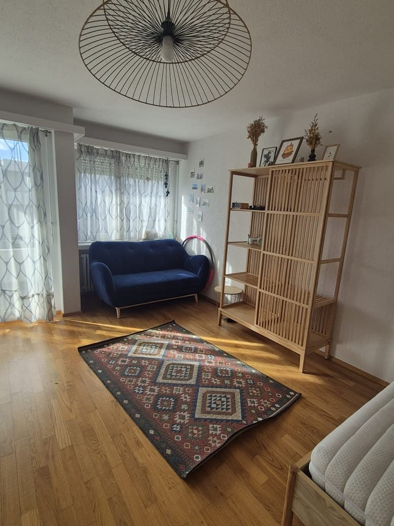 1,5 Room Appartament (10)